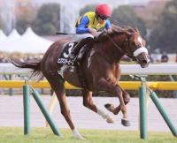  ư2С̤־ޤϢҥޥԡϺJF