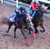  �ڥ����ԥ���C��1�����ۺ�ǯ5��Υ�٥󥸤ء�Ʈ�迴�भ�Ф���Ĵ�����ڥץ��ɥʥ���������Ĵ���ա֤�����֤Ϲ���򶯲����Ƥ����