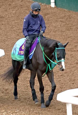 【注目馬動向】ドゥラエレーデは西村淳也騎手とのコンビで鳴尾記念へ　池添調教師「ワンターンもいいと思います」