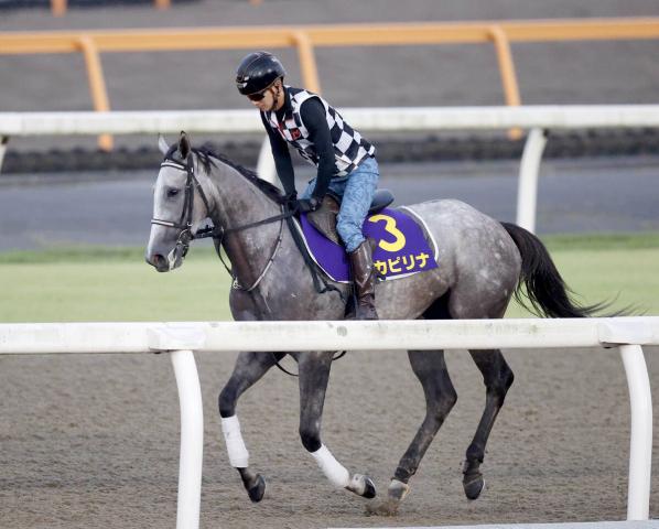 函館スプリントステークス 2025結果情報】接戦もカピリナに軍配が