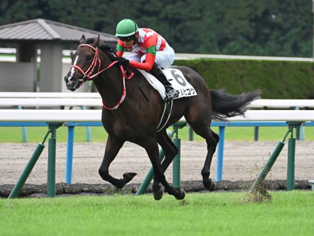 【POG】東スポ杯2歳S4着馬テルヒコウ 次走はきさらぎ賞が目標か/馬三郎のつぶやき
