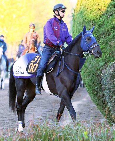 【POG】近親に重賞ウィナーがズラリ　ウルフマンは日曜の東京・芝1800メートルでデビュー