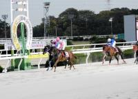  ϡʼ˥˥ץꡡʣңΥȥޥ꤬ȥ졼ɽ