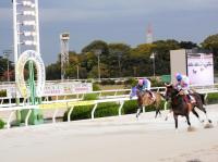  ���������ϡ۱��Ķ��֡����ǥ����󤬽žޣ����ܡ�̵�Ԥ�ʼ�ˣ����ϥ����ޥ�ϣ���