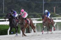  ڱĶϡʼ˥˥ץۥȥޥꡡԵӤ١ֻפ̤