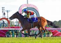  ͭϵǰեɼ裱ȯɽ쥬쥤 ϢƤƲ