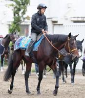  ڥԥCۥ륯륫եƹ̾ȥӤǽꡡG16ʡμ兩롼