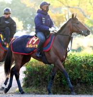  ưۥꥶ٥VΥ쥬쥤顡ͭϵǰ郎ꡡǡ֥åɥȯɽ