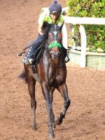  ưۥȥΥ㥤˥󥰤ǰ򡡥ȥХͭϵǰɸĴ