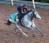  ڵ2S4G1!Ϥ椬ԥåꡡϷŪ㤤ʤΤϥȥΥܥ꡼