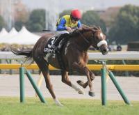  ư־VΥҥޥԡϺJFƣͤ𵳼ȿ