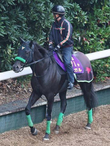【京阪杯】負担重量59キロでも単勝1番人気は唯一のG1馬ルガル　2番人気は武豊騎手のナムラクララが続く