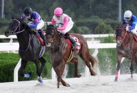  ưʼ˥˥ץVΥȥޥǯܡ3ΥꥹϺJFǼǤ˺ĩ