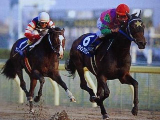 第1回JCダートで突き抜けたウイングアロー 圧巻の3馬身半差Vで“春秋制覇”