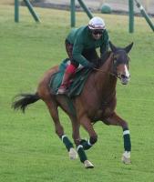  ڥѥCۥ05ǯγV!βԤץ饤ɤؼG14Ϣ