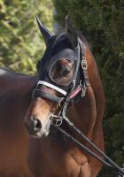  ڹåסۥɥǥ쥤ϥ졼ȿӷǽɤ֤˾ƤޤĻ