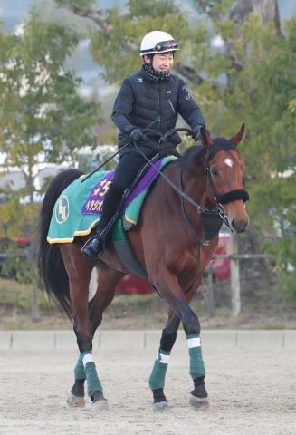 【香港国際競走・国内最終追い】ベラジオオペラ感触上々　上村師「仕上がった」