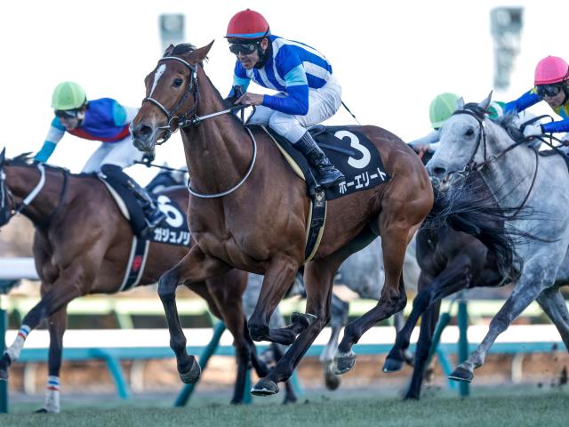 【ステイヤーズS予想オッズ】ホーエリートが予想1番人気