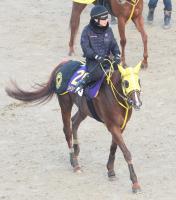  ᥤ祦ϥꥪԥC饹ȥȤưࡢﲴꡡĻաְΤϤȻפޤ