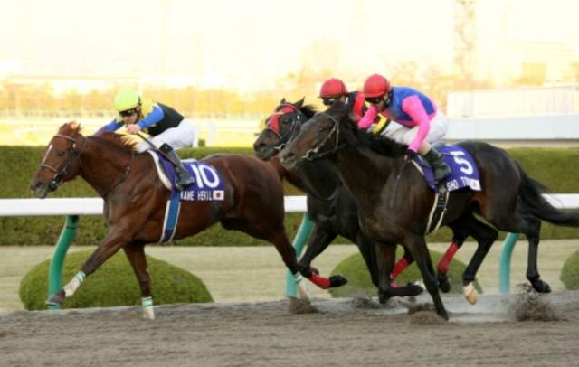 病で表舞台から消えた“砂のディープインパクト”が奇跡の復活!2度の手術へて3年ぶりV…チャンピオンズC名勝負