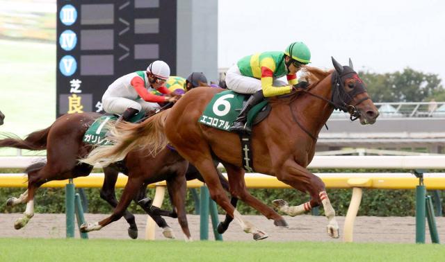 【注目馬動向】サウジアラビアRC覇者のエコロアルバは松山弘平騎手との新コンビで朝日杯FSへ