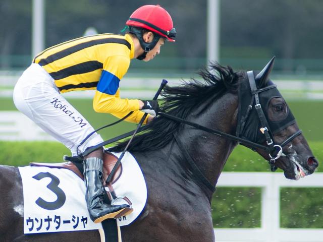半兄はGI・4勝のジャンタルマンタル ウンナターシャが今度こそ初勝利なるか
