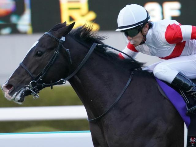 半兄は2歳王者 「ウマ娘」藤田晋オーナーのドンテスタマスターがデビュー