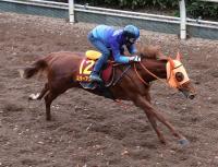  ںJF콵ɤۥ˥ϩ24F544ա֤֤ɹ