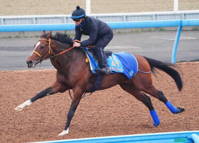 【スポニチ賞ステイヤーズS】チャックネイト、久々も動き良好　堀師「充実してきている」