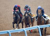  ںJF1ۥƥߥS2ߥĥͥ٥ͥɤȤ˾徺¼ưȤƤ­