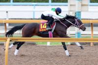  ںJF1ۤޤޤ徺!졦CWǹסܡ˾Ĵա֤󤷤äꤷƤƤ