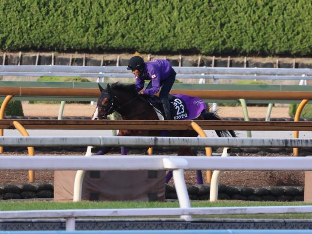 アドマイヤクワッズ、朝日杯FS2週前追い切り速報/栗東トレセンニュース