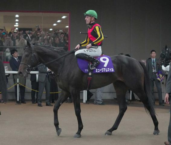 有馬記念ミュージアムマイルはC・デムーロとのコンビ継続で参戦