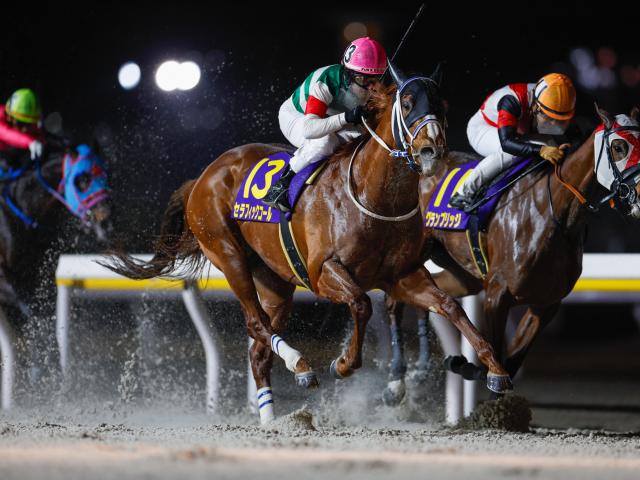 【週末情報】7月のマーキュリーC以来でもセラフィックコール好仕上がり 一発の魅力十分/馬三郎のつぶやき