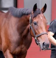  ͭϵǰ2ȯɽ쥬쥤餬461007ɼ򽸤ȥå