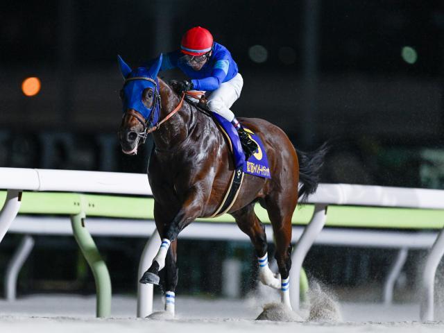 【チャンピオンズC・調教後馬体重】ナルカミは517kg、ダブルハートボンドは482kg