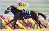  ںJF֥ۡѡƤΤå2Ϣޡåȥߡ˭ǻĴդˤޤ