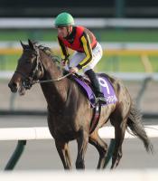  ��������ư����ͭ�ϵ�ǰ����Υߥ塼������ޥ����C�ǥࡼ������˷�³�������ꡡŷ�ľޡ�����2��