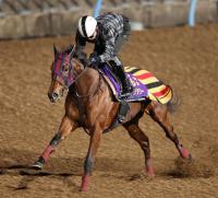  ڹޥۥ֥꡼ڲա֥饹1FοӤ⽽ʬ