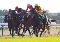  ԣУ㥹ƥӥ¼ͧȤΥӤǥۡץեӤ