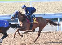  ںʣơۥХ̡ؤ;Ͻʬ塢ա֡Ƥ̤٤ȡסںߤиѤߤ