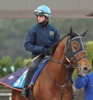  �ڥ����ԥ��󥺣áۥ����롼���ƹ�ȥåץ���å������륯�����륫�ե�Ƴ�������ɥХ��ףäǤϥե������С���󥰷���