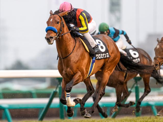 アルゼンチン共和国杯2024結果情報】ハヤヤッコが大外から差し切り重賞