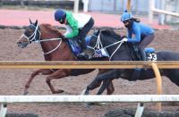  ڥԥC(4)եå롡Ԥǰȯա֤Ȥä