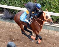  ǰ۷ϤCͥϡˤϥƥɡޤޤĹ³륪ʥå