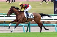  滳5R2пϡֳۡھǤץ᡼뵳꤬ɾǥ⤬20ܤ1ֿ͵˱