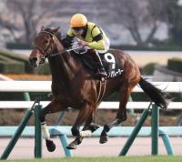  滳9Rղðޡ4ֿ͵ΥΥ졼2JRA쥳Vơ