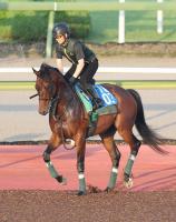  ǰۥǥӥåȥХľȴФƬǥ