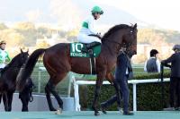  ǰ5ܤĩǽž޽ơϥǥӥåȥХ˾赳Ϣ