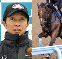  ־Ȼפʤäסְ䤹ץ˥󥳥ݥȥ쥸ɤζ˥ͥåȴǰϷǼĳ